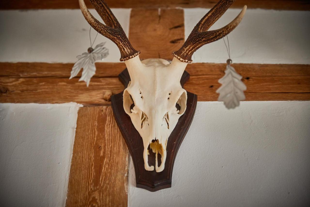 Ferienhaus Asten-Lodge Winterberg Dış mekan fotoğraf